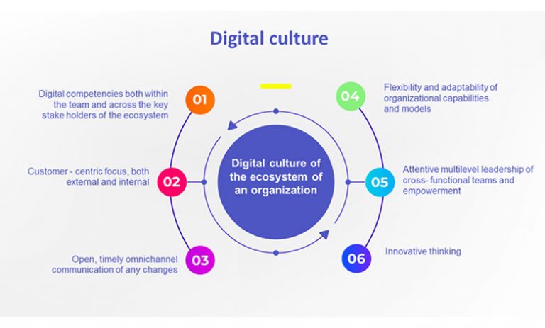 Digital Culture: The Key to Sustained Success. | DiTech Media